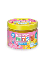 Creativity For Kids Sensory Minis - Capybara