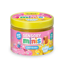 Creativity For Kids Sensory Minis - Capybara