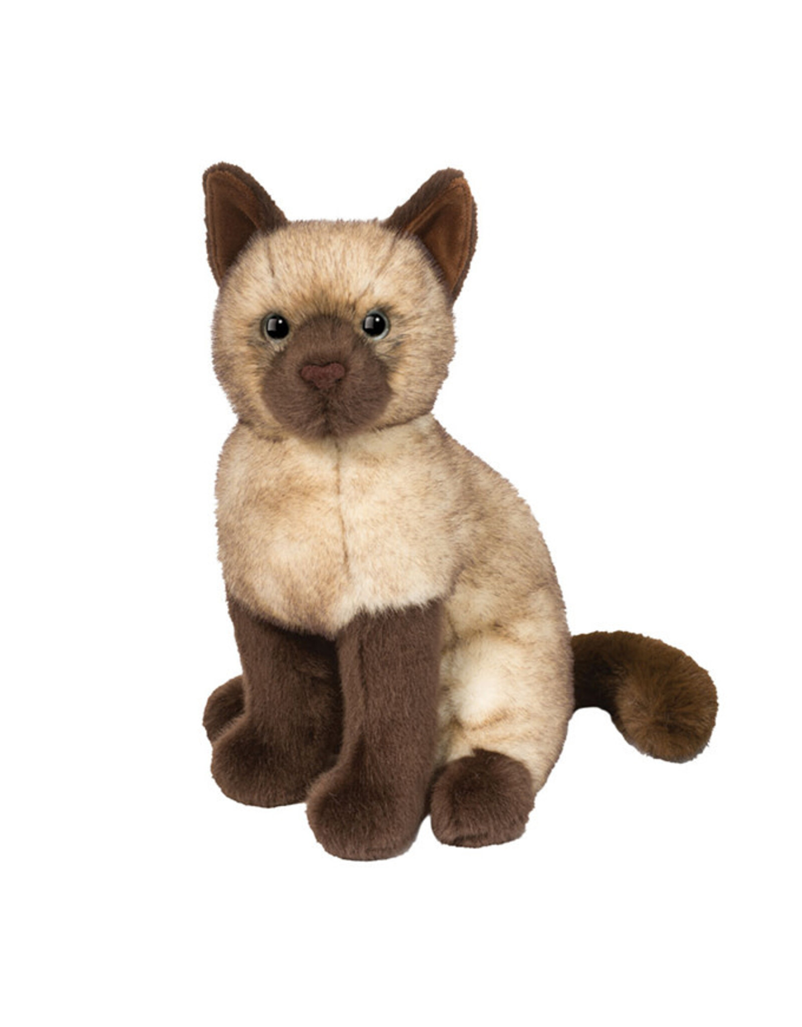 Douglas Chai Siamese Cat