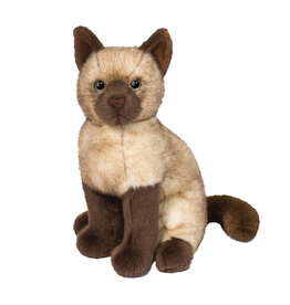 Douglas Chai Siamese Cat