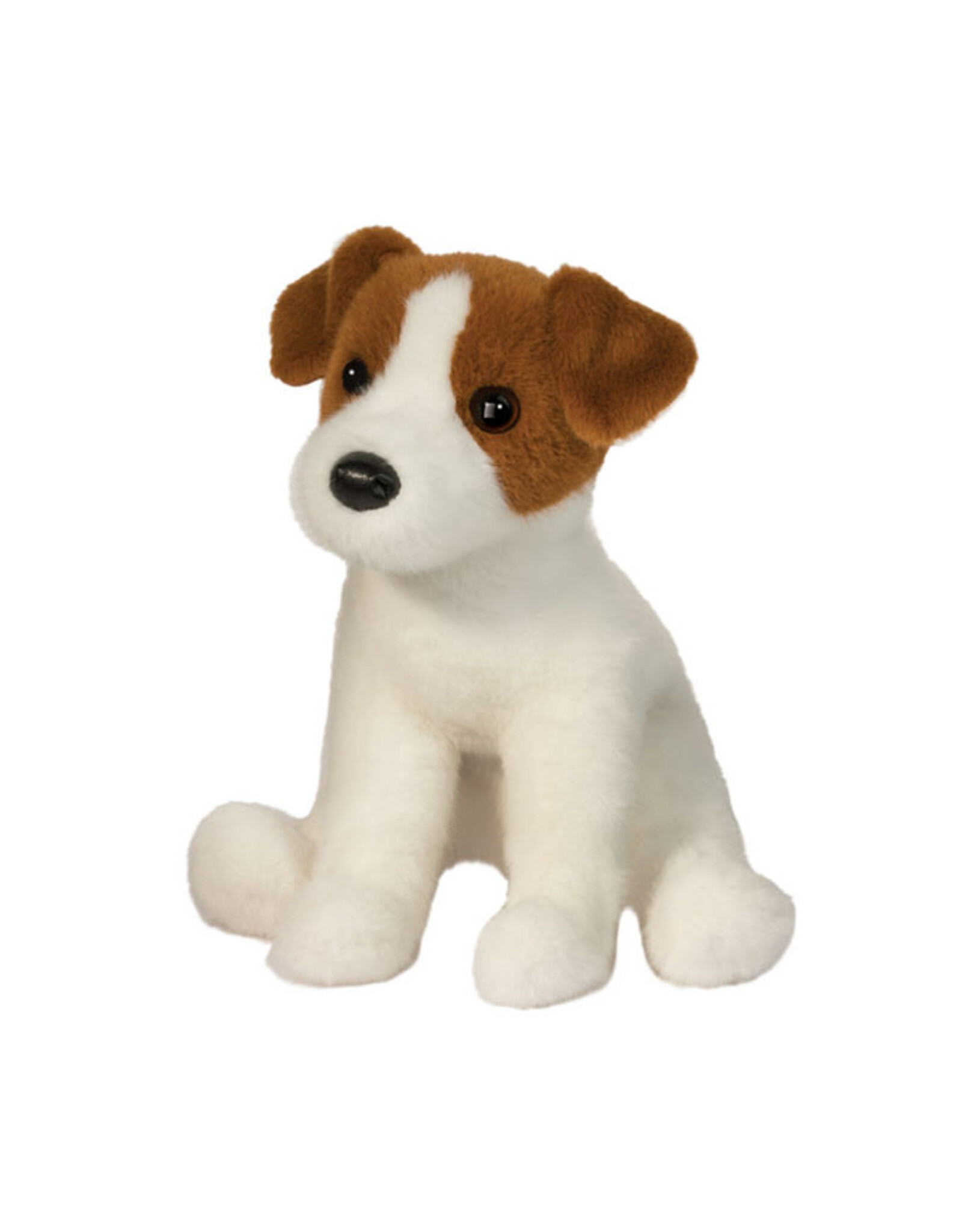 Douglas Fiona Jack Russel Terrier