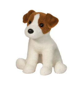 Douglas Fiona Jack Russel Terrier