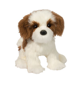 Douglas Farren Shih Tzu