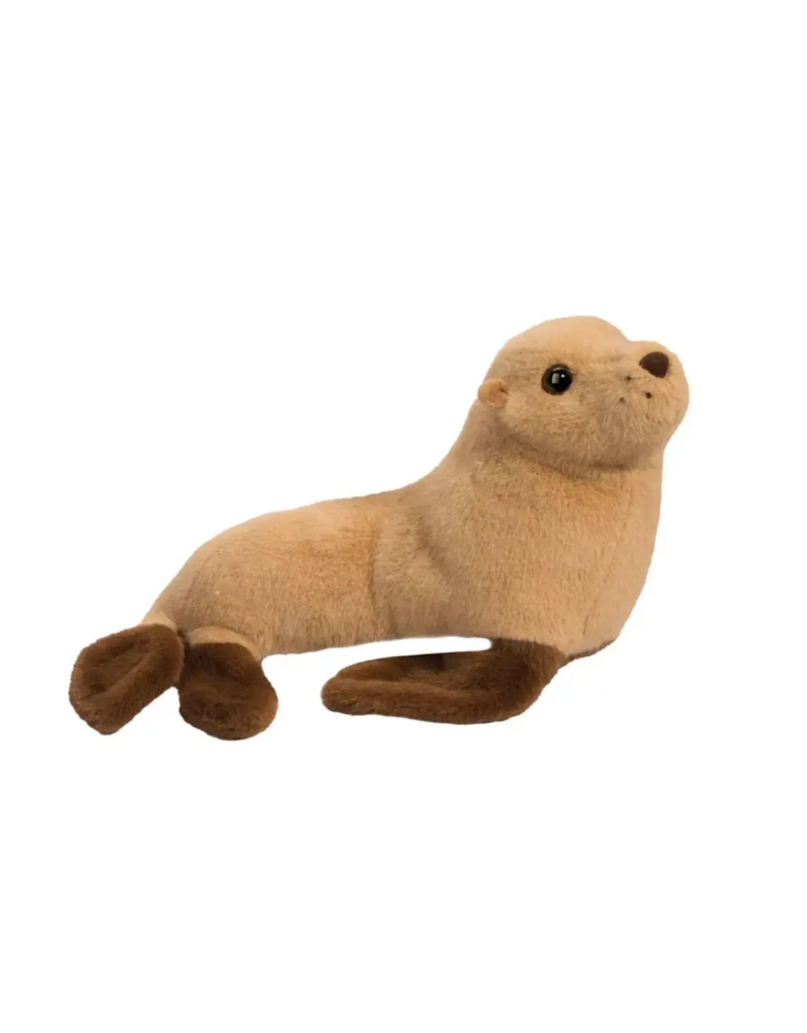 Douglas Bark Sea Lion