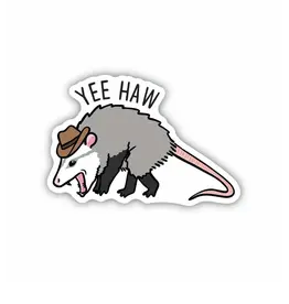 Stickers Northwest Yee Haw Cowboy Possum Vinyl Sticker