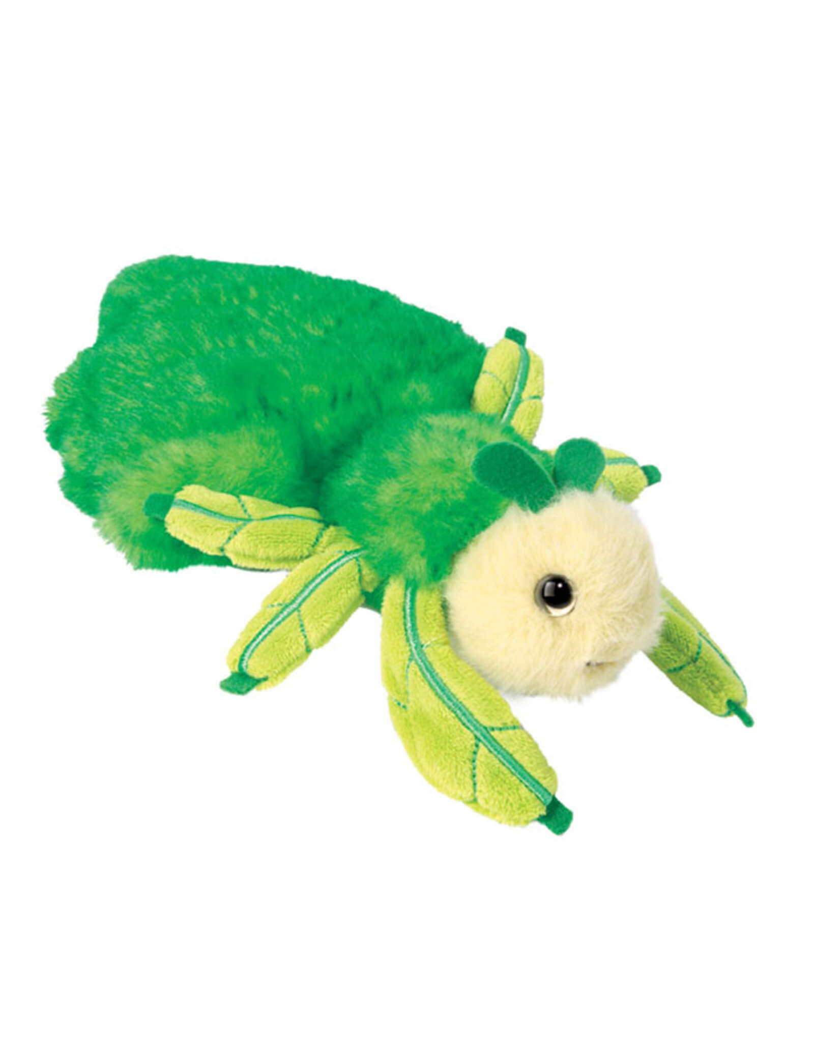 Douglas Larry Leaf Bug