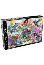 JaCaRou Puzzles Lovely Feathered Beauties 1000 pc