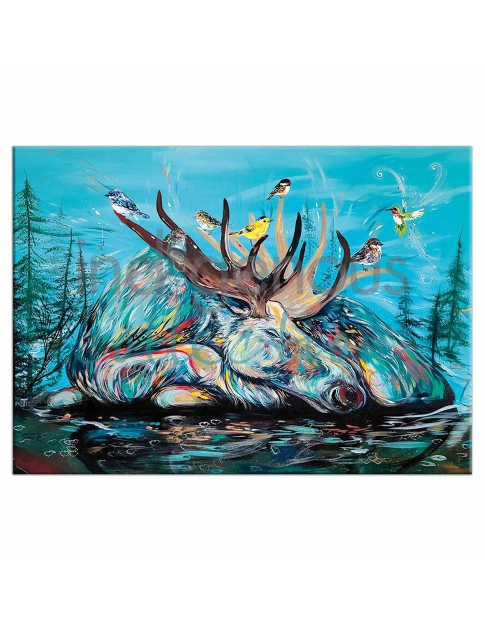 Indigenous Collection Sweet Dreams Magnet