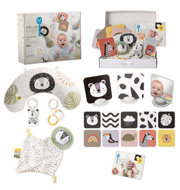 Taf Toys - Newborn Develop & Play Kit