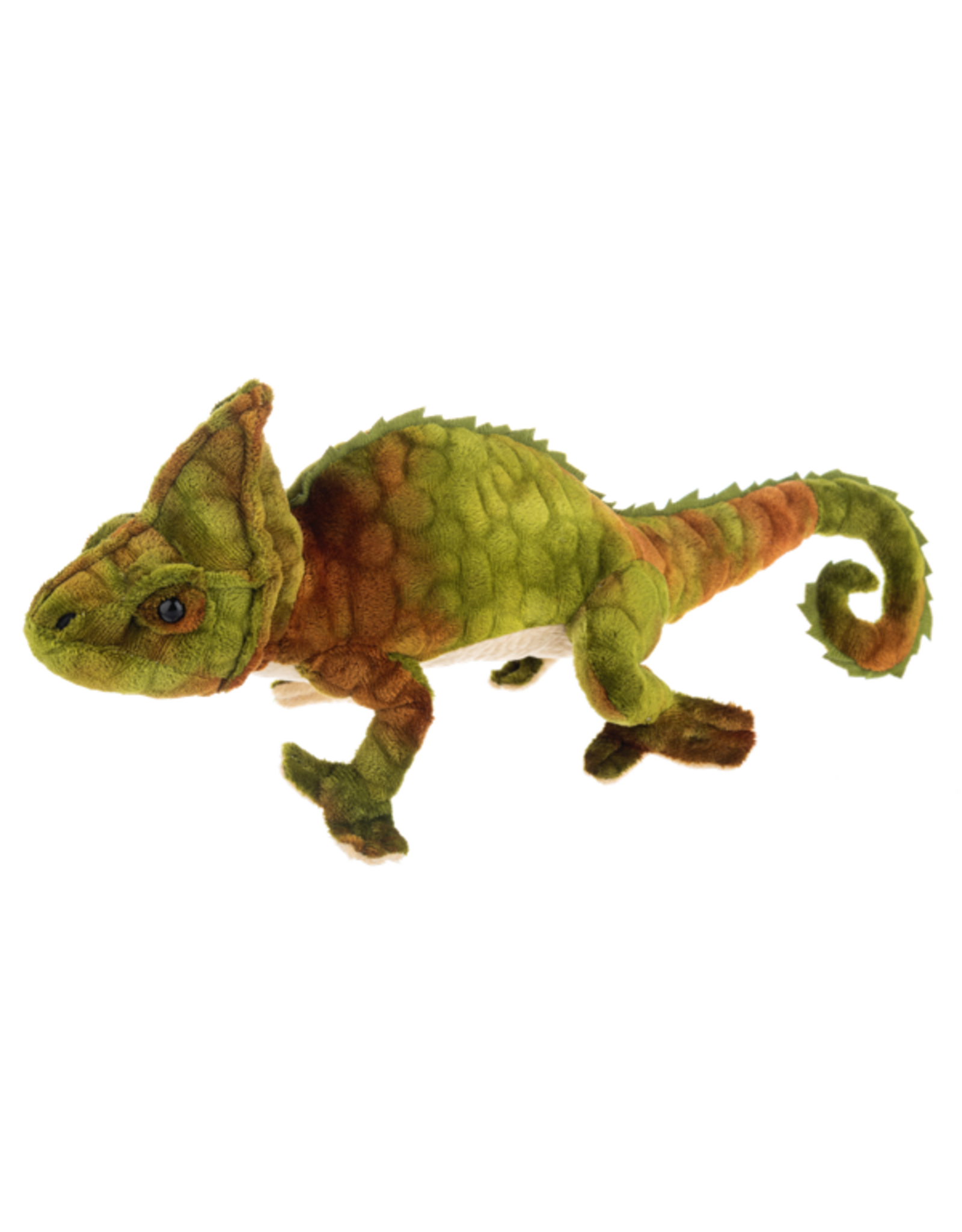 Ganz Veiled Chameleon