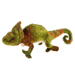 Ganz Veiled Chameleon