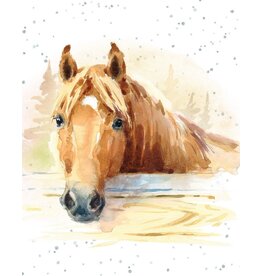 Dreaming of You Gift Enclosure