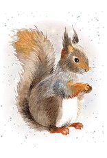 Nuts About You Gift Enclosure