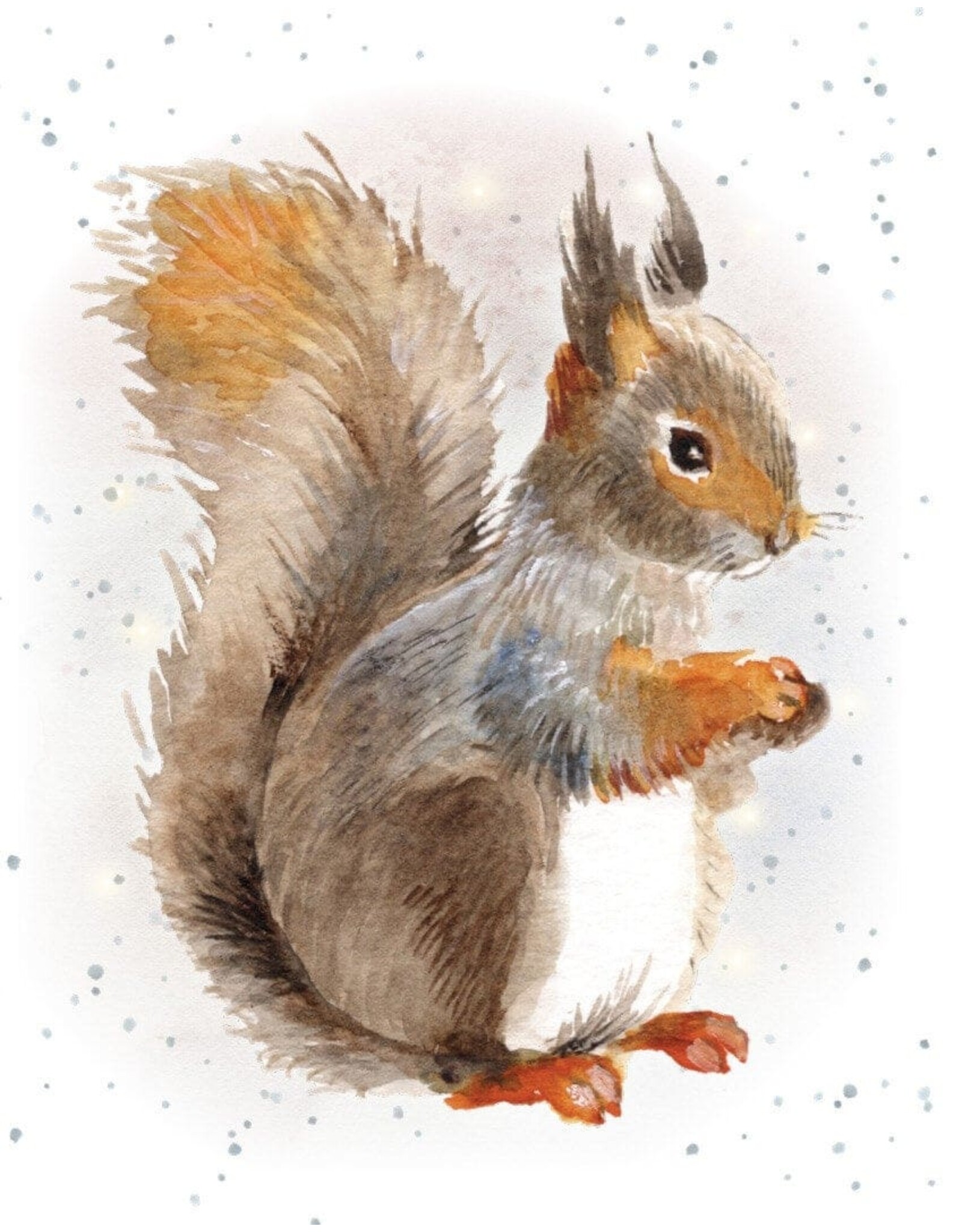 Nuts About You Gift Enclosure
