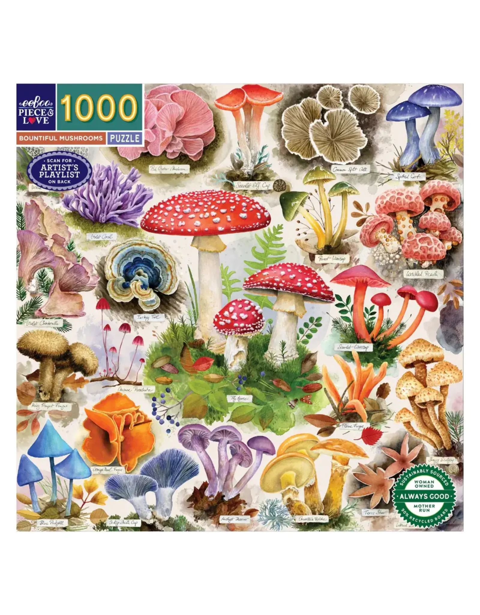eeBoo Bountiful Mushrooms 1000pc