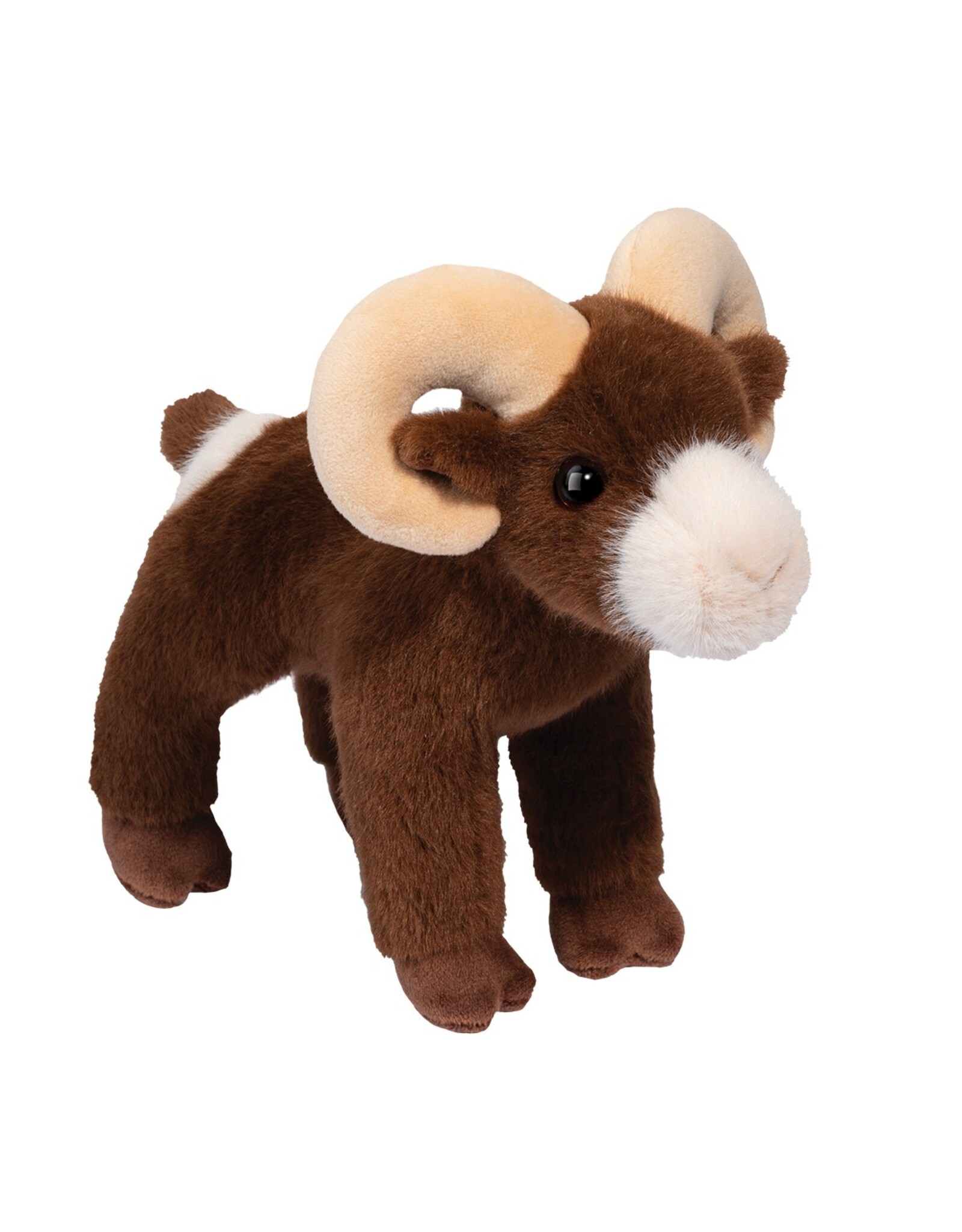 Douglas Burly Bighorn Sheep