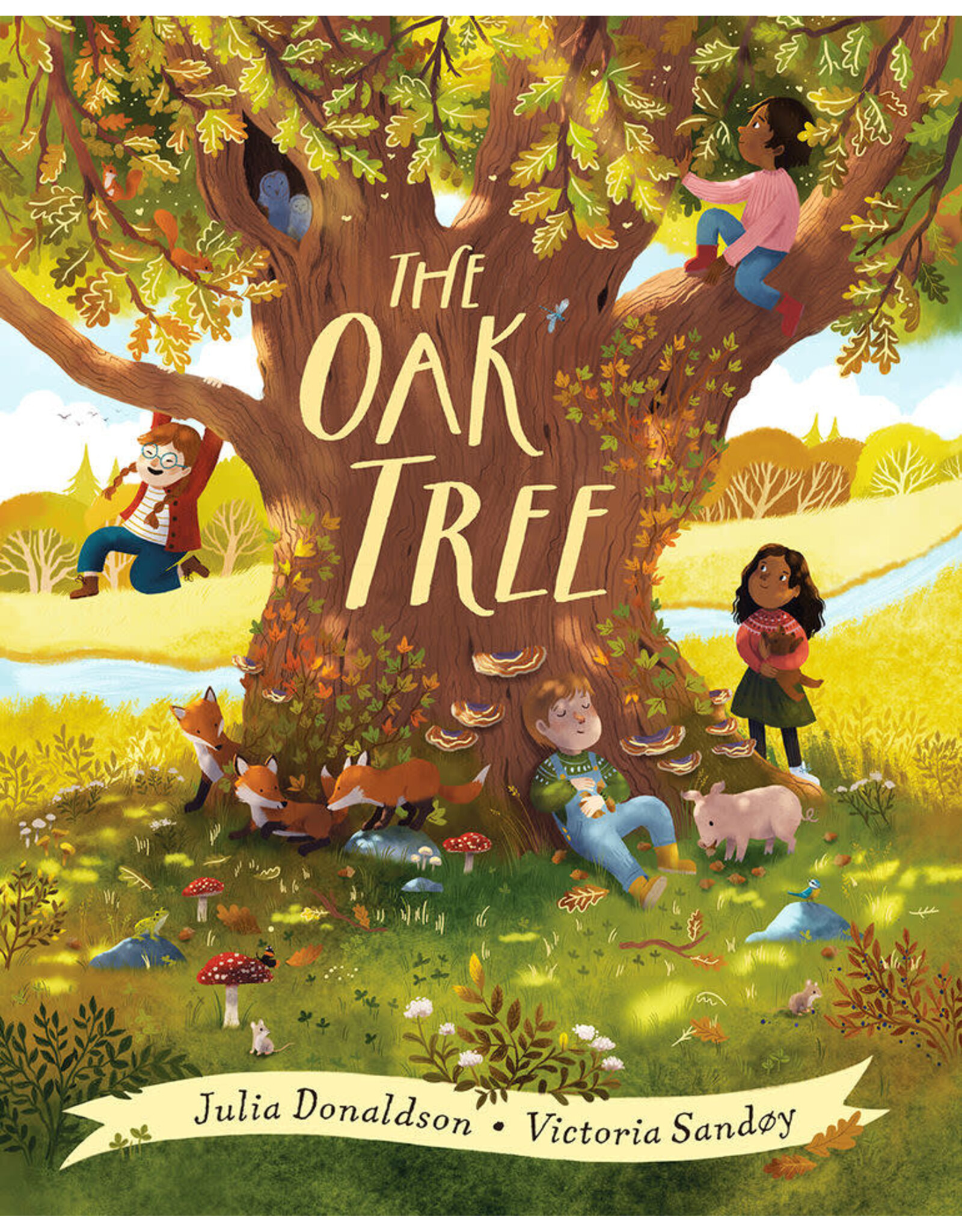 Scholastic The Oak Tree
