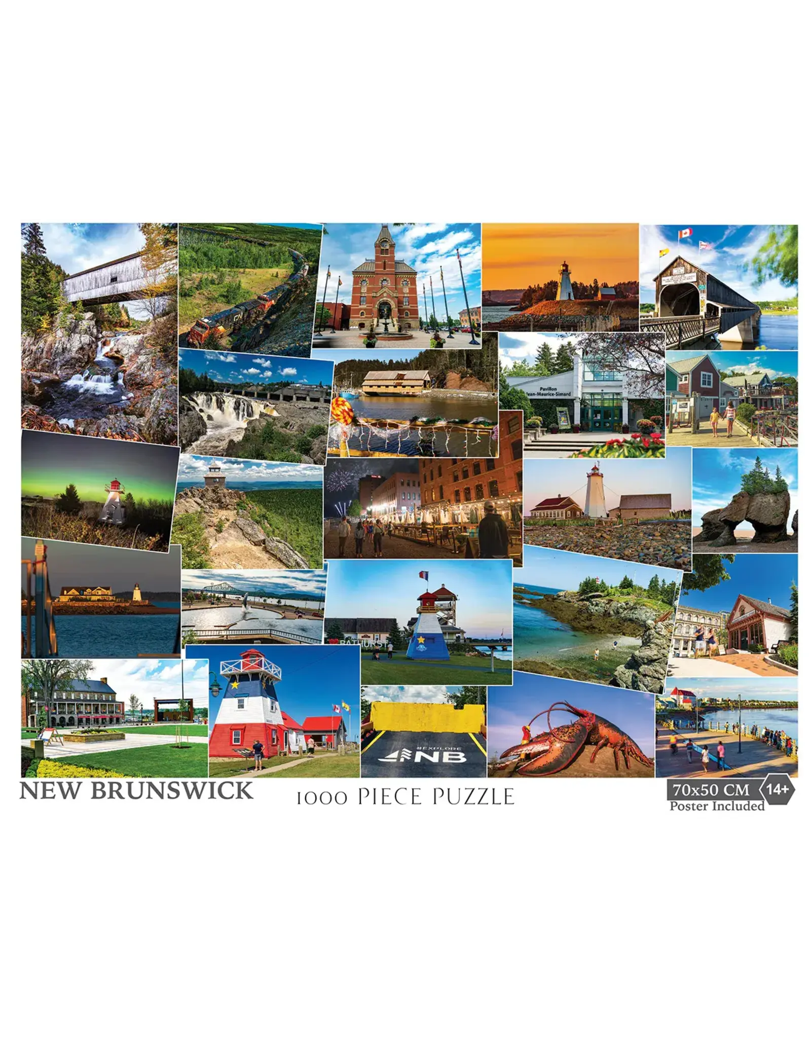 New Brunswick Collage Puzzle 1000pc