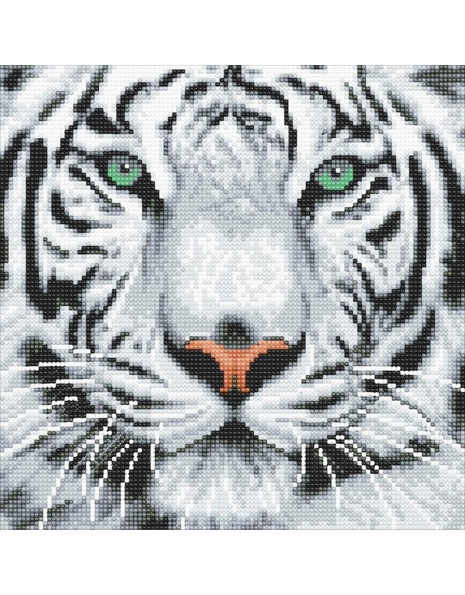 D.I.Y Crystal Art Kit Crystal Art Medium Framed Kit - White Tiger