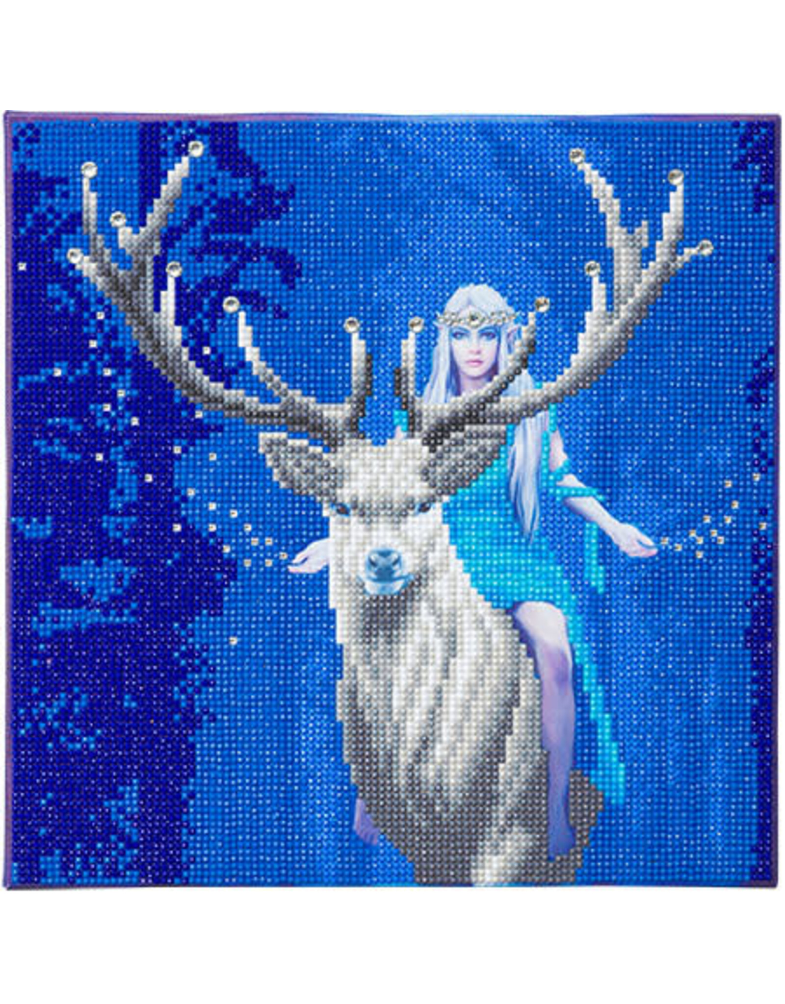 D.I.Y Crystal Art Kit Crystal Art Medium Framed Kit - Fantasy Forest