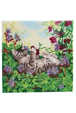 D.I.Y Crystal Art Kit Crystal Art Medium Mounted Kit: Playful Cat
