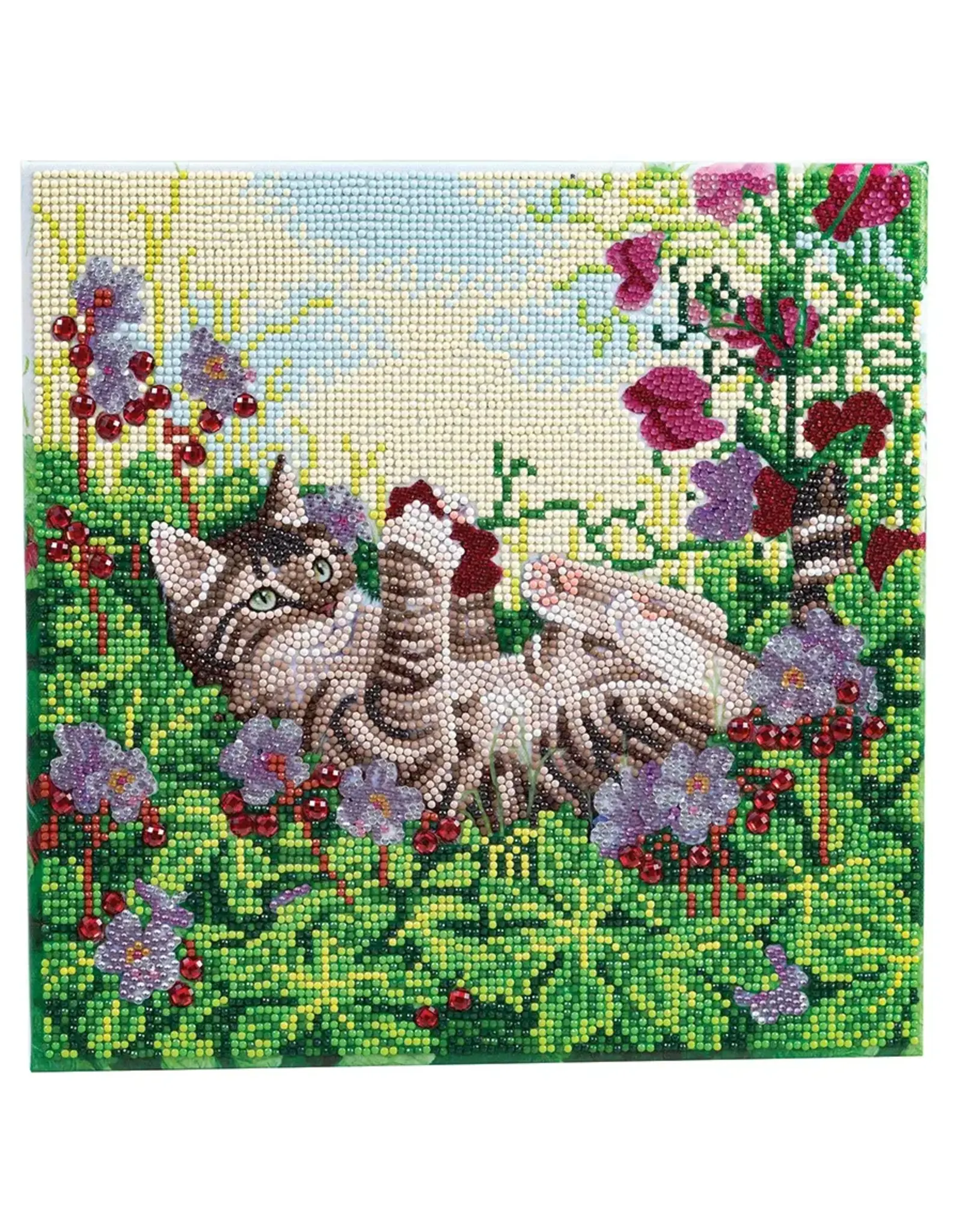 D.I.Y Crystal Art Kit Crystal Art Medium Mounted Kit: Playful Cat