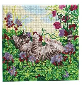 D.I.Y Crystal Art Kit Crystal Art Medium Mounted Kit: Playful Cat