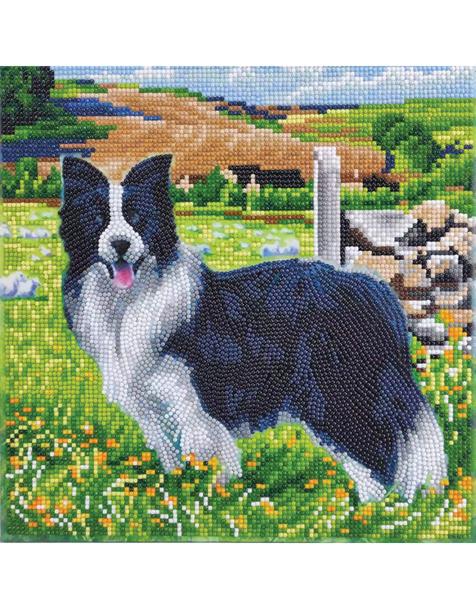 D.I.Y Crystal Art Kit Crystal Art Medium Framed Kit - Pup in the Field
