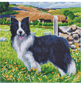 D.I.Y Crystal Art Kit Crystal Art Medium Framed Kit - Pup in the Field