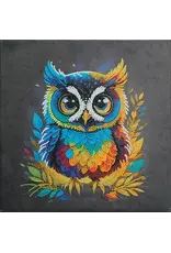 D.I.Y Crystal Art Kit Crystal Art Medium Framed Kit - Owl