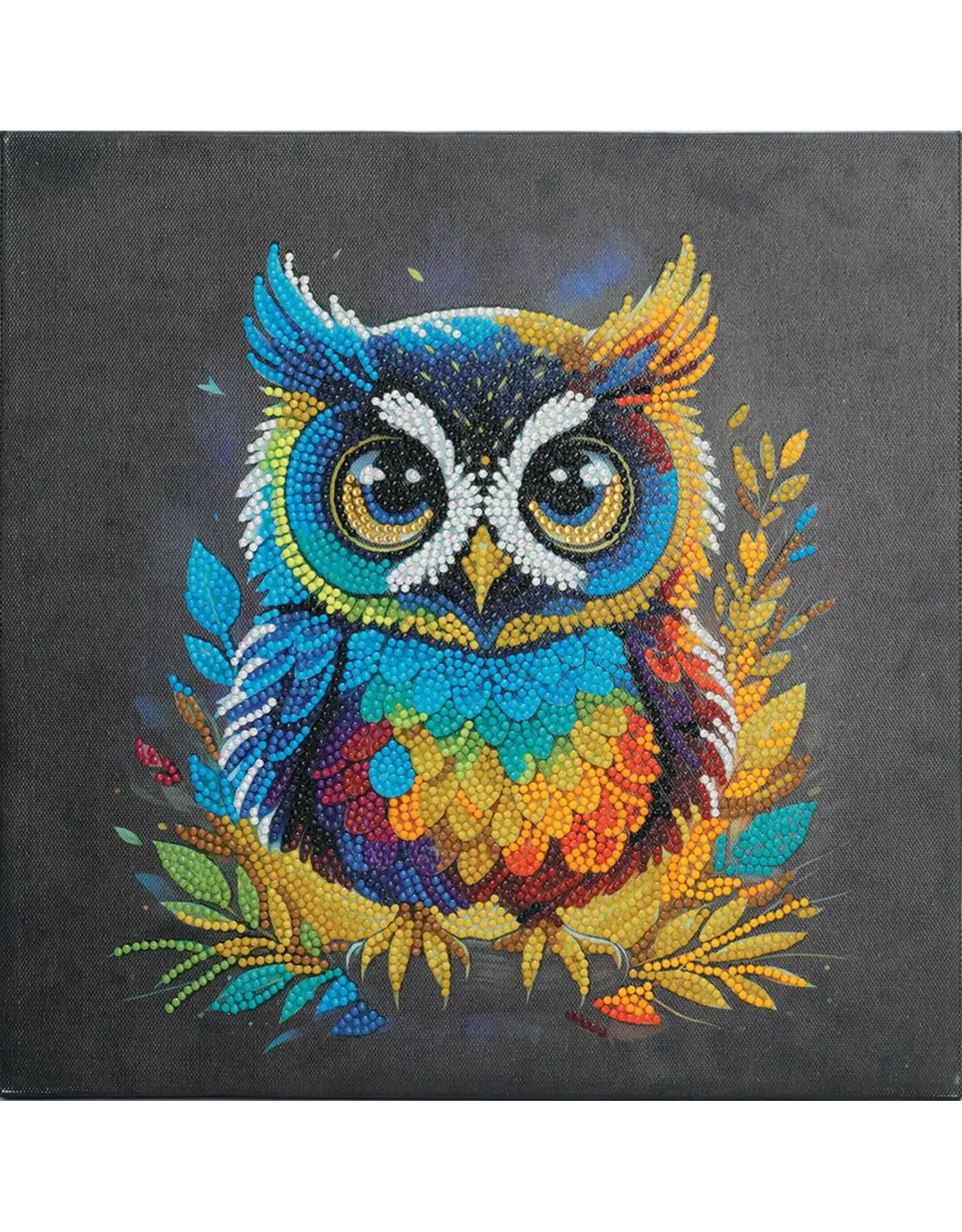 D.I.Y Crystal Art Kit Crystal Art Medium Framed Kit - Owl