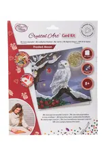D.I.Y Crystal Art Kit Crystal Art Card Kit: Frosted Moon
