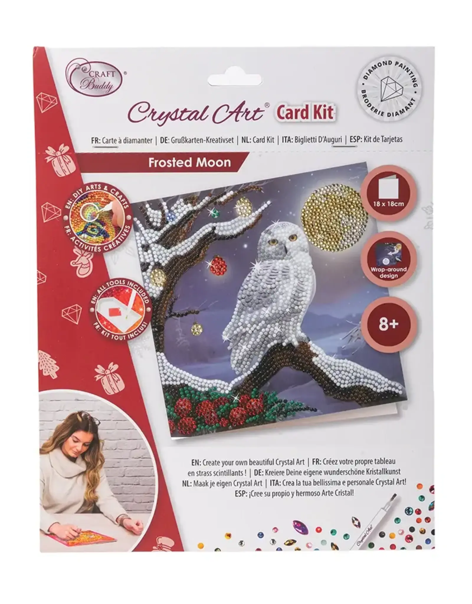 D.I.Y Crystal Art Kit Crystal Art Card Kit: Frosted Moon