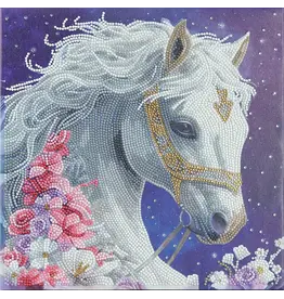 D.I.Y Crystal Art Kit Crystal Art Mounted Kit Medium: Mystic Beauty