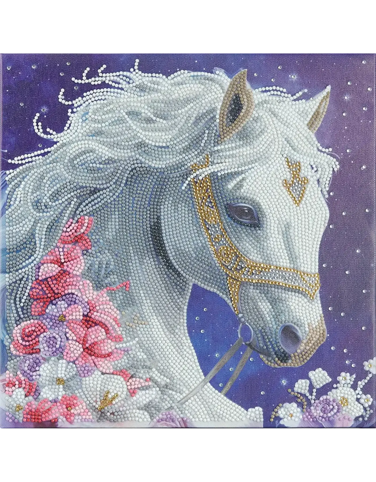 D.I.Y Crystal Art Kit Crystal Art Mounted Kit Medium: Mystic Beauty