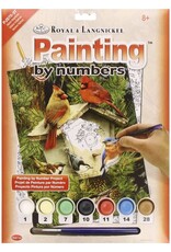 Royal & Langnickel Paint by Number: Native Neighbours