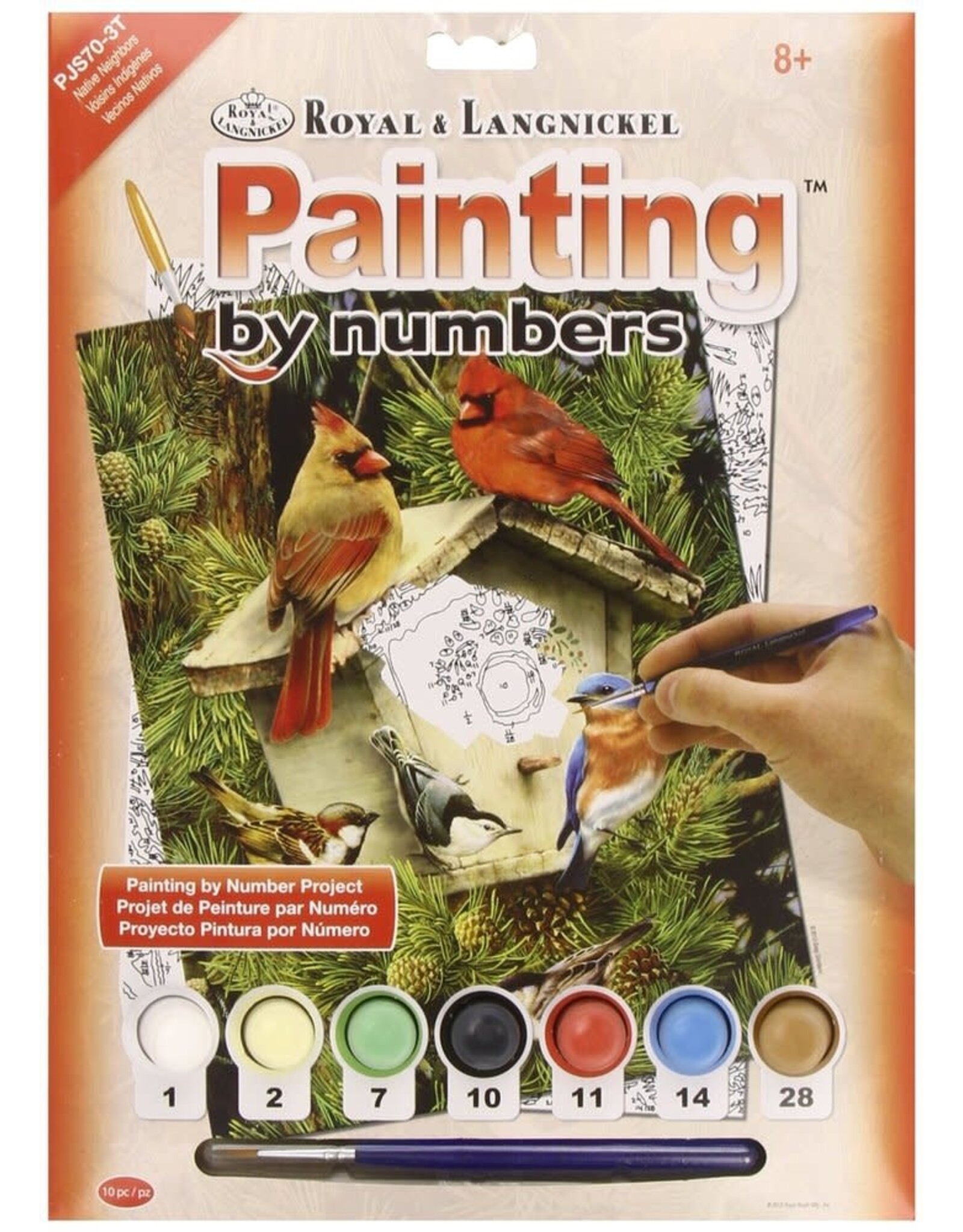 Royal & Langnickel Paint by Number: Native Neighbours