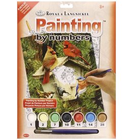 Royal & Langnickel Paint by Number: Native Neighbours