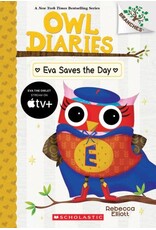 Scholastic Eva Saves the Day: A Branches Book (Owl Diaries #22)