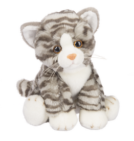 Heritage Grey Tabby Cat
