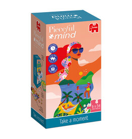 Jumbo Take a Moment - 6x54pc Puzzles & Color Activity
