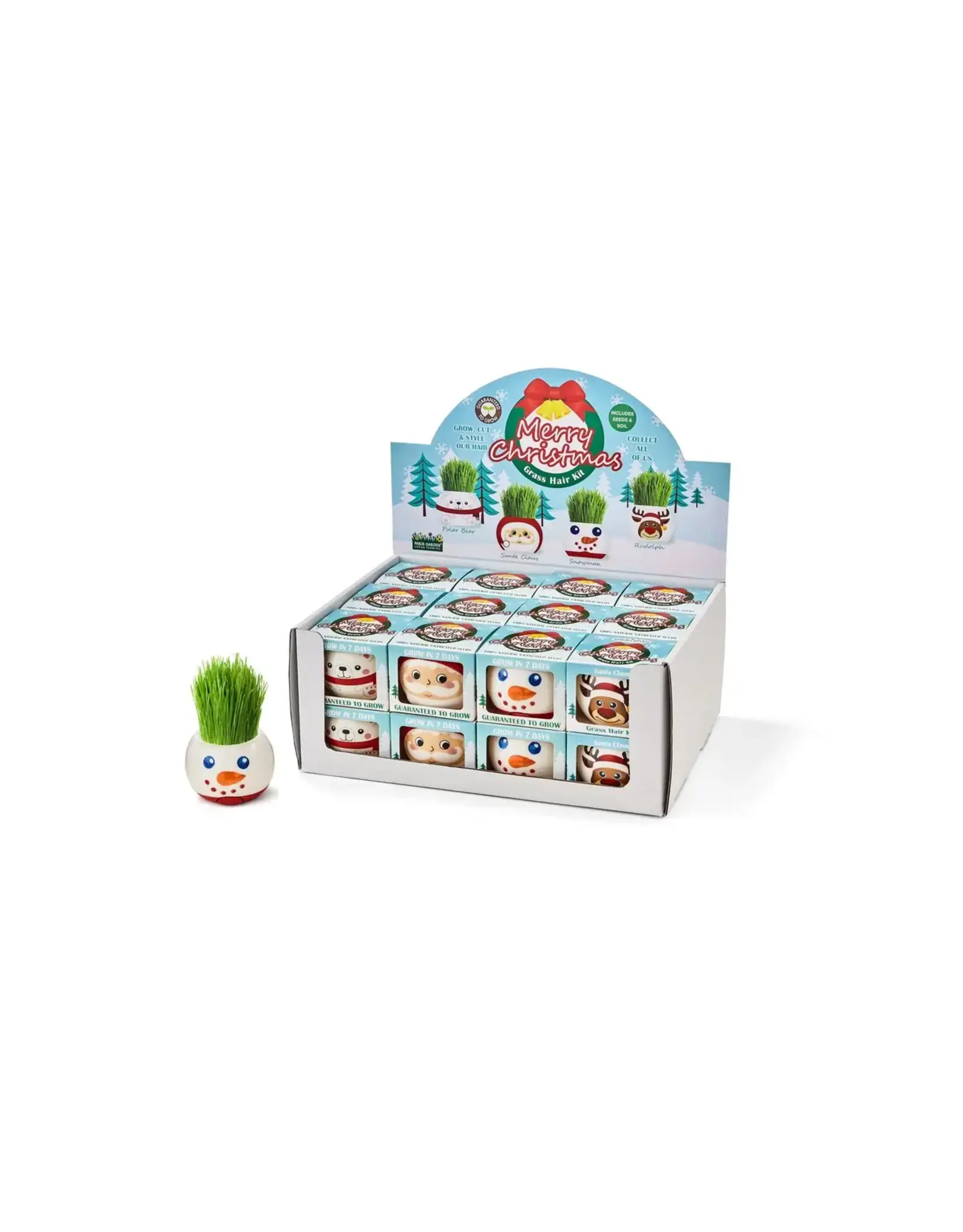 Xmas Grass Hair Kit