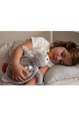 Cloud B Tranquil Penguin Rechargeable - Grey