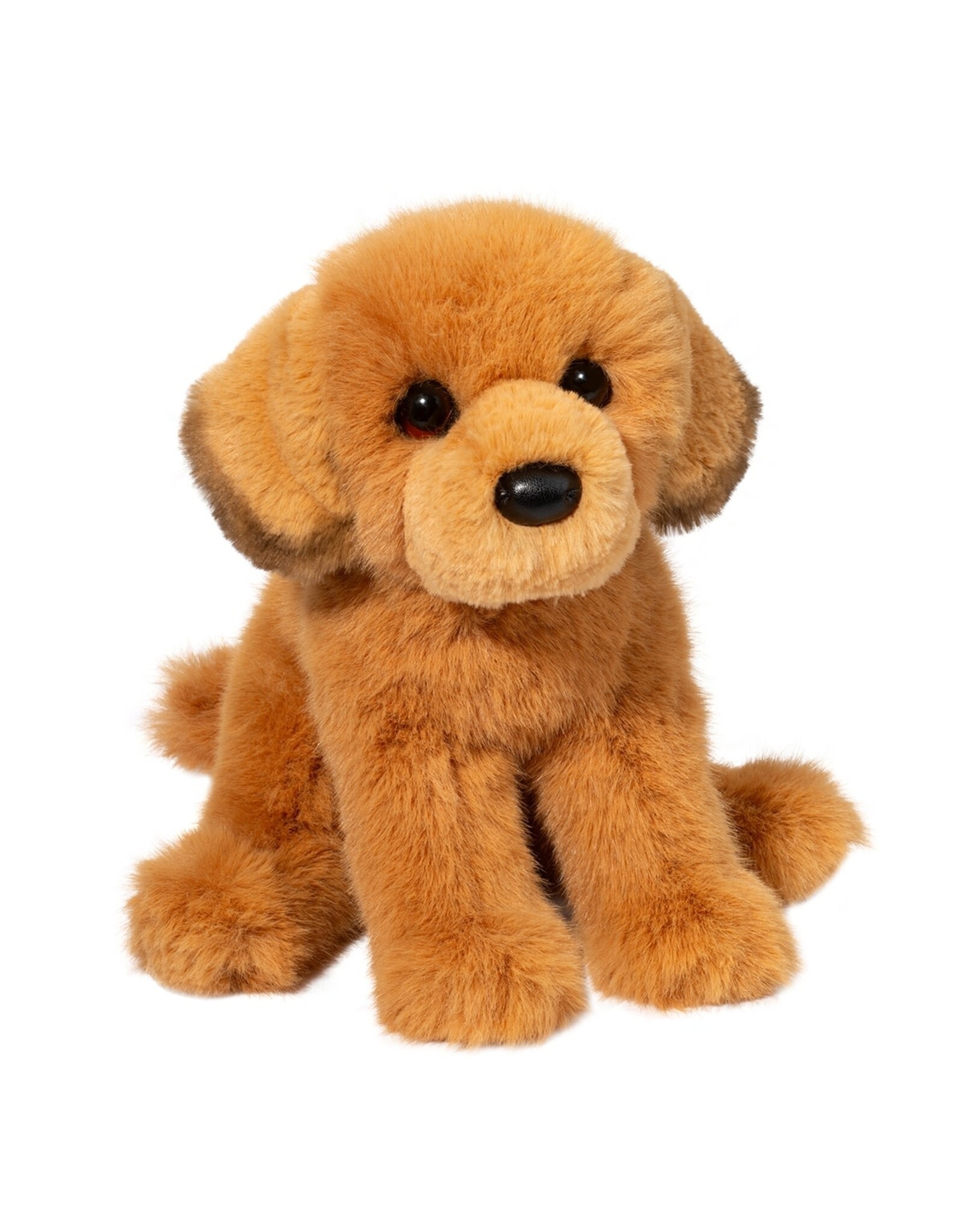 Douglas August Golden Retriever