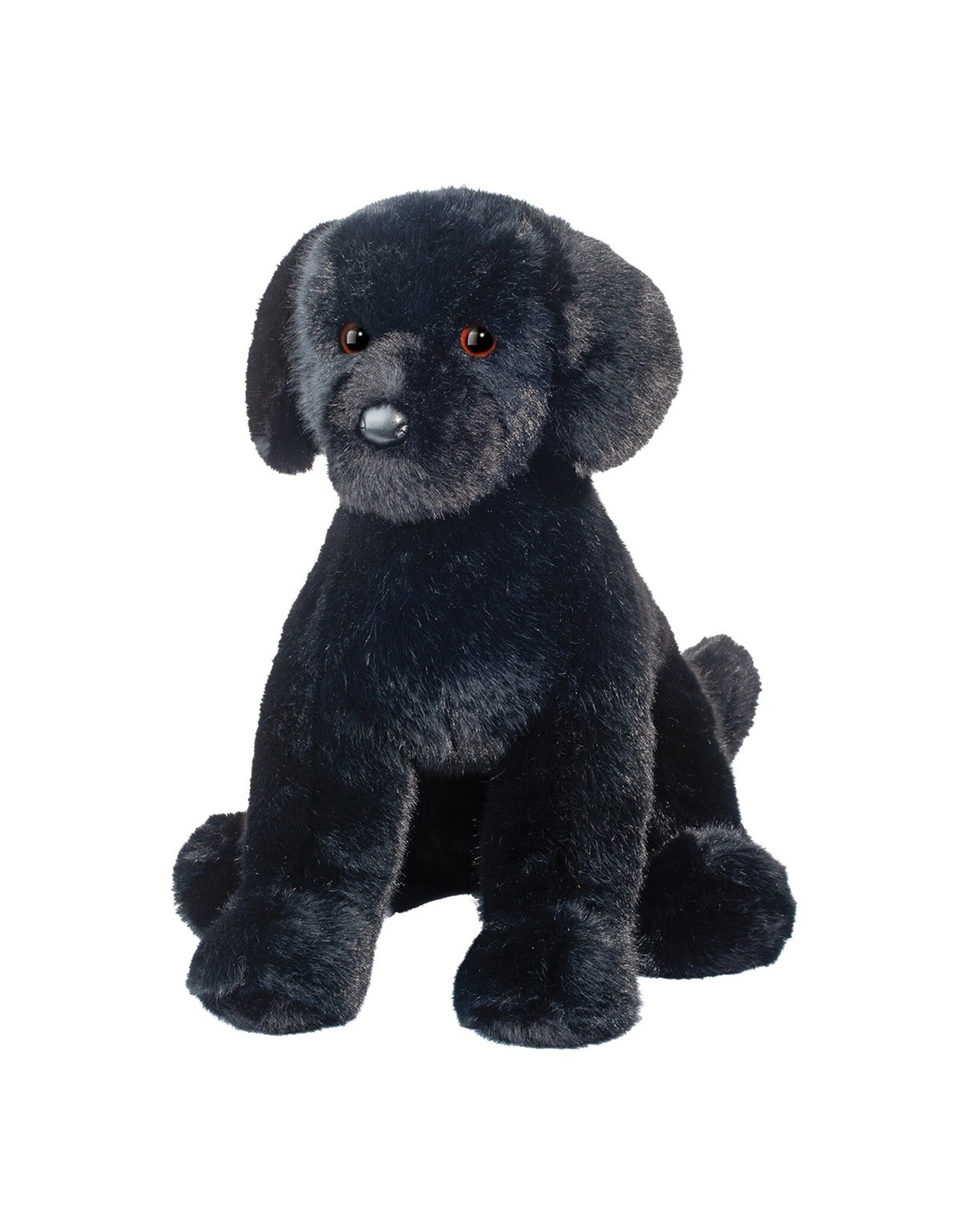 Douglas Spruce Dog