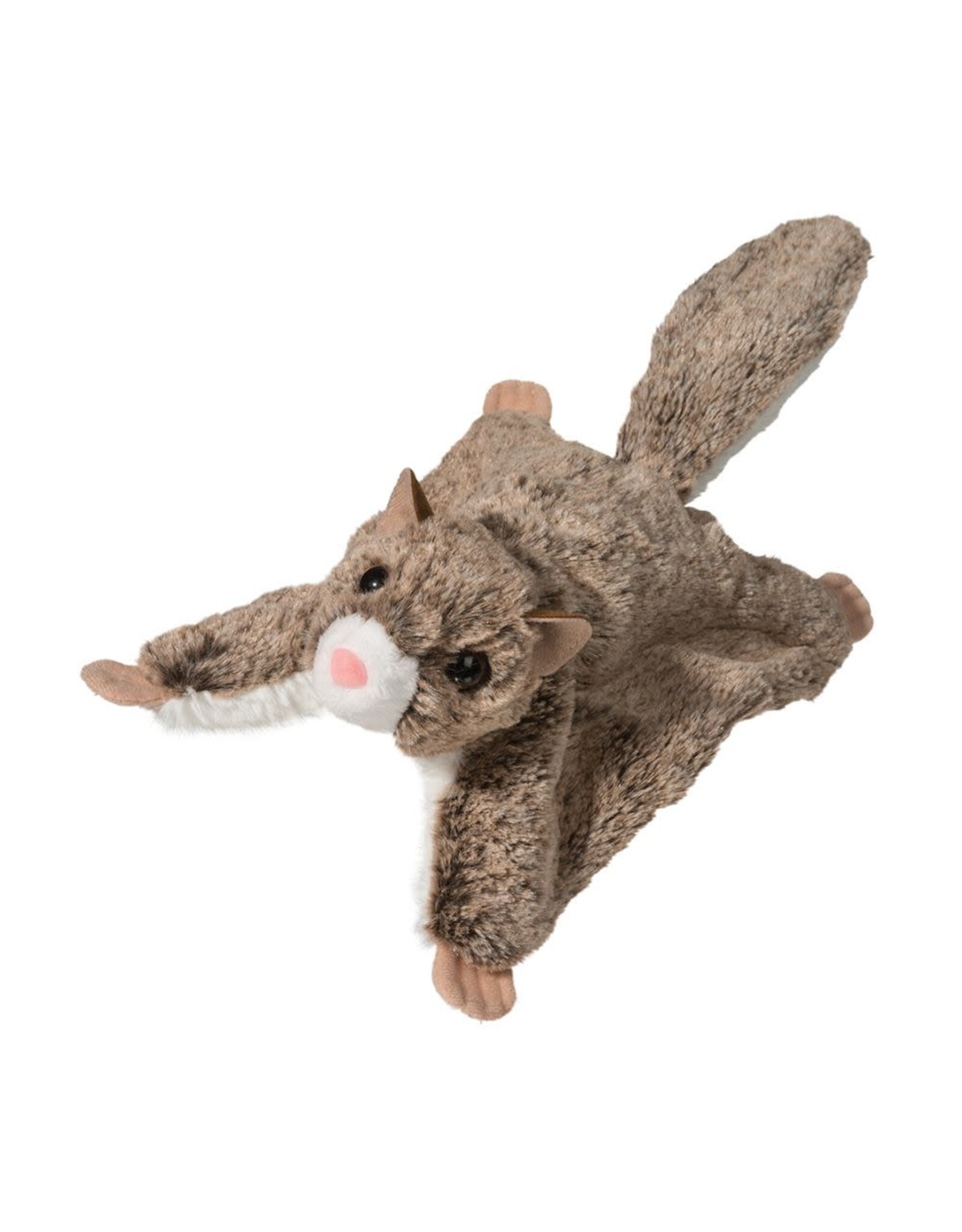 Douglas Jumper Flying Squirrel