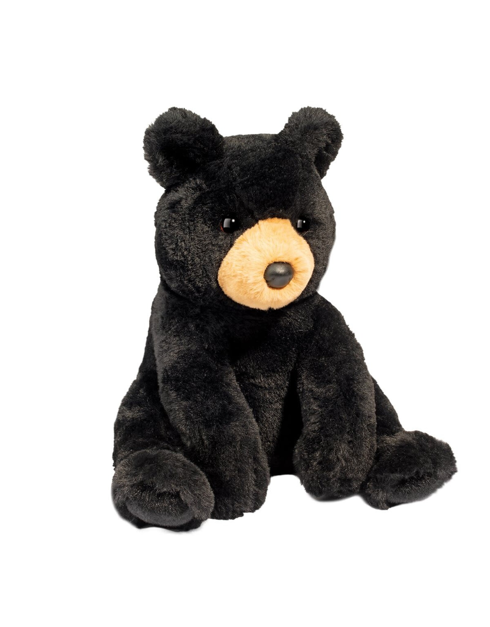 Douglas Forest Black Bear