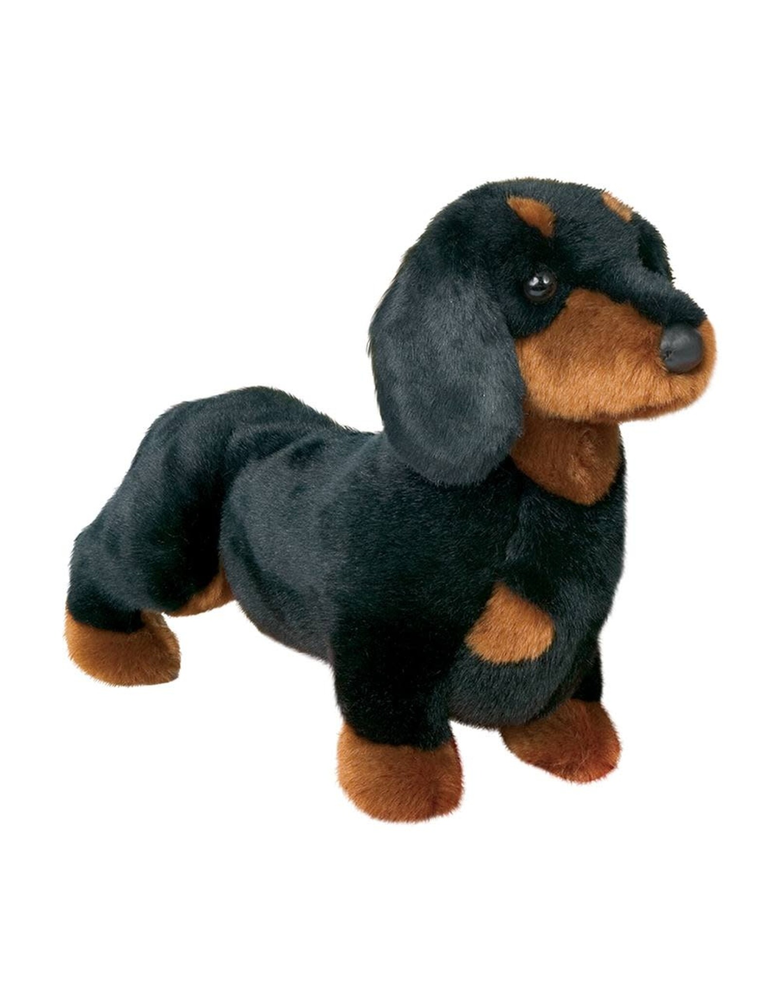 Douglas Spats Black & Tan Dachshund
