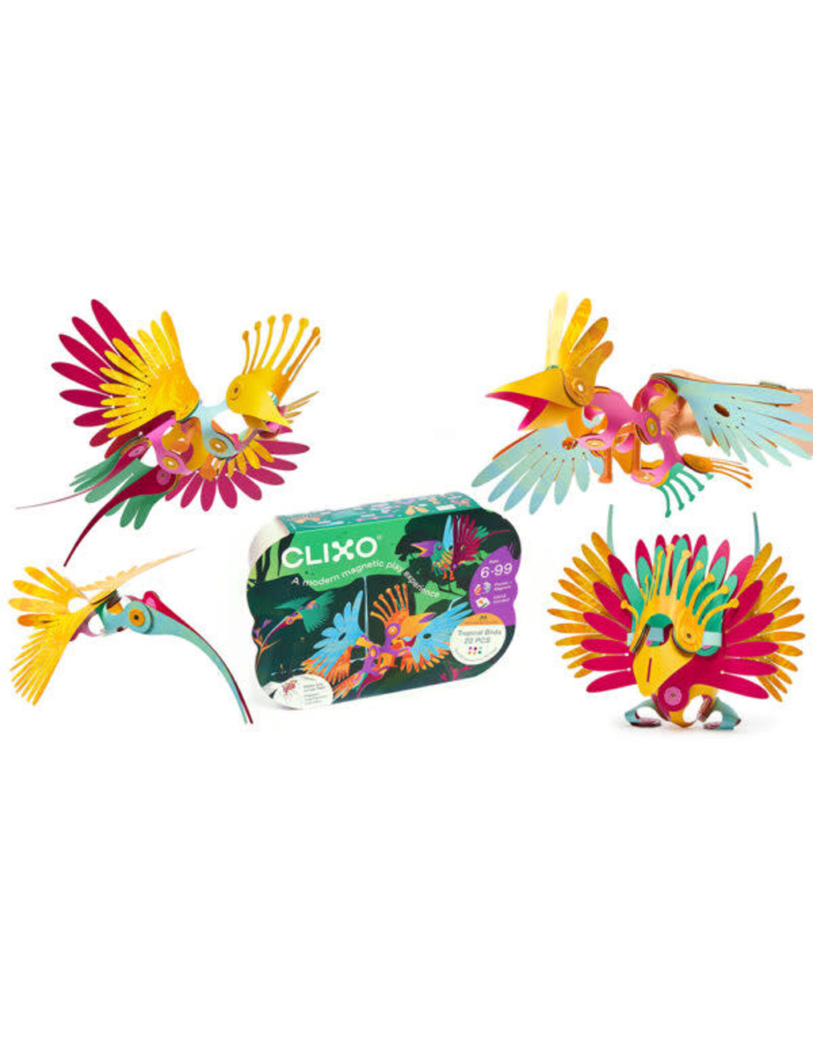 Clixo Clixo Tropical Birds Pack