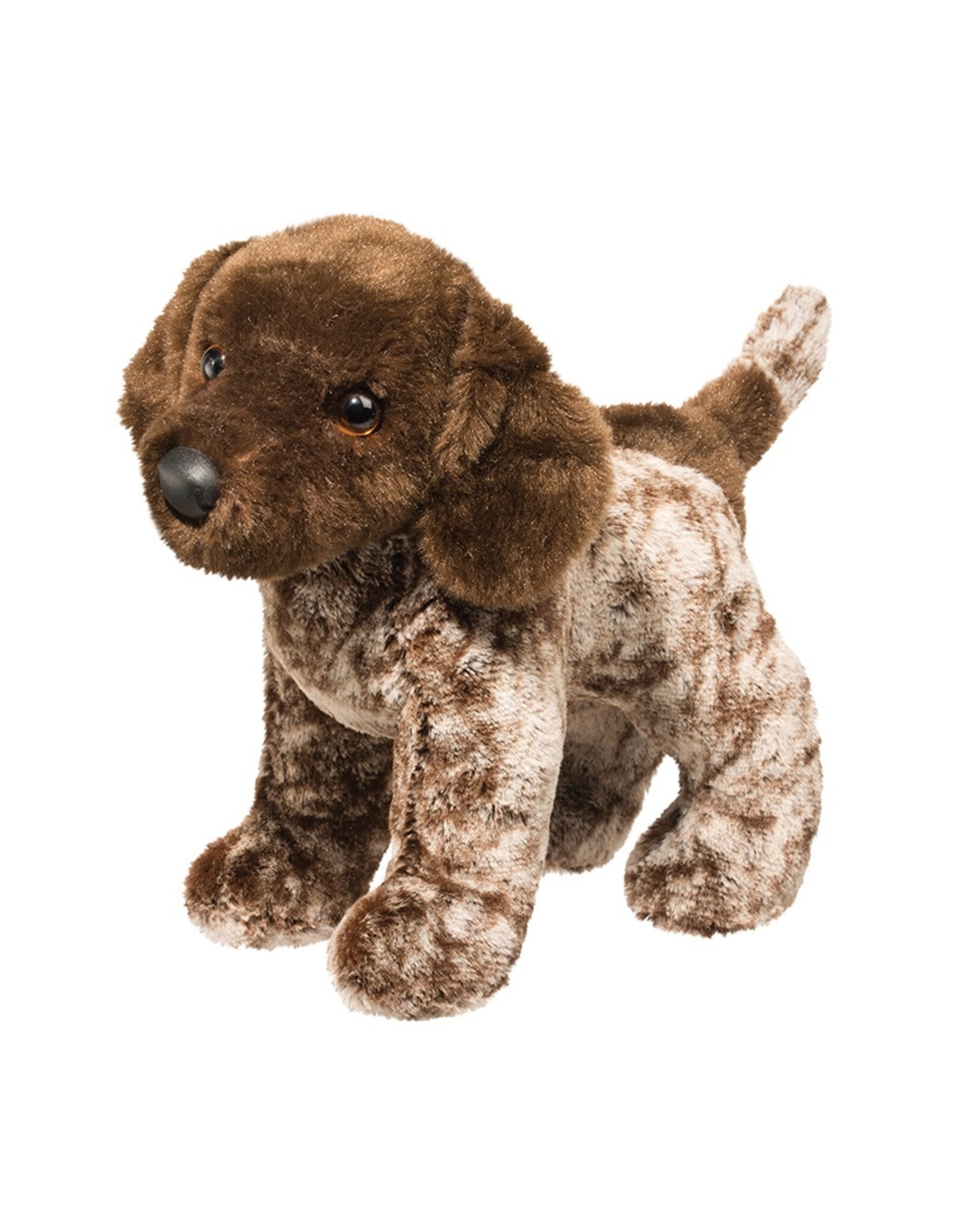 Douglas Ivan German Pointer
